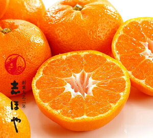 みかん 柑橘【出荷時期:11月〜12月中旬頃】和歌山県産 有田みかん 4kg(30〜36玉)贈答用 果物 ギフト お歳暮 冬ギフト 御歳暮産 和歌山 有田 みかん ありたみかん ミカン みかん 高級みかん