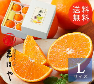 QY g܂ǂ LTCY 5 i1ʖ180`230gjp g}hi k ʕ Mtg p ʕ t[c Mtg Ε ~Mtg NX}X