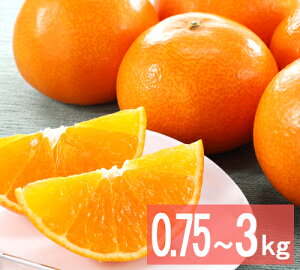 QY g܂ǂ 2L`3LTCY 0.75kgi3ʁj` 3kgi9`13ʁj p g}hi k ʕ Mtg JAЂߒ p ʕ t[c Mtg Ε ~Mtg NX}X