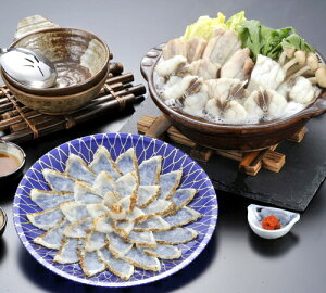 yo׎F11`N3zyz܂ӂthgEZbgi3lOj ӂh ӂ ӂ j j Ԃ  Mtg 3lOy23z