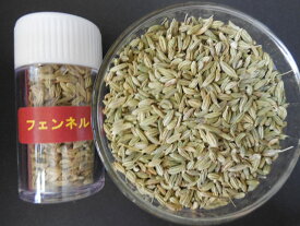 フェンネルのみ1品のご注文は別途送料500円かかります！（単品5品以上注文で送料無料）フェンネル　25ml　ケース入り　6,000円以上のお買い上げの方のみ時間指定可能　希望の方は備考欄にその旨お書きください。