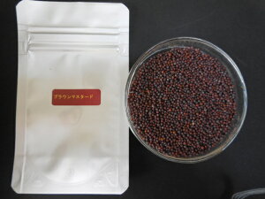 ブラウンマスタード50ml、ケースなし 6,000円以上のお買い上げの方のみ時間指定可能 希望の方は備考欄にその旨お書きください。