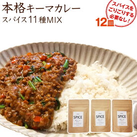 1000円 ポッキリ 送料無料 俺のキーマカレー スパイス11種 ブイヨン入り 12皿分 【楽ギフ_包装選択】【楽ギフ_のし宛書】【楽ギフ_メッセ入力】本格キーマカレー専用スパイス