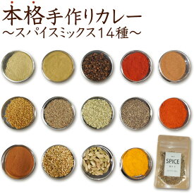 おうちパーティーで使いたい！カレー用本格スパイスセットのおすすめは？