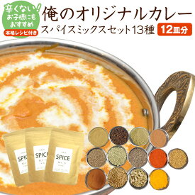 1000円 ポッキリ 送料無料 辛くない！粉スパイスミックス13種　お試し 本格手作りカレー　レシピ付き　お試しセット　子供用　俺のオリジナルカレースパイスミックスセット13種（12皿分)