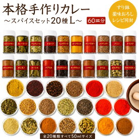 本格手作りカレー スパイスセット20種 Lサイズ レシピ付き インドカレー 手作りカレー 約60皿分 スパイス 詰め合わせ 専用ケース すり鉢 薬味おろし 保存用空ケース付き 送料無料