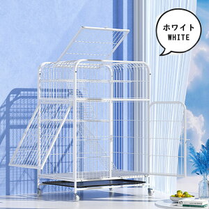 LP[W LP[W 3iL݌v Rgݍ킹gC LhAt nbNt ^LQ[W   LnEX LnEX i Eh~ Ή pX`[