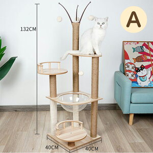 Lbg^[ u@ؐ LnEX gݗĎ ^s ܖ lR̂ Lbgh BƁ@lRpi XgX  Ki