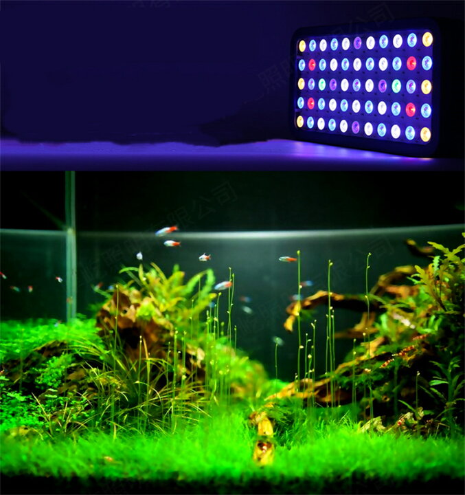 楽天市場】165W 55LEDx3W 水族館 水槽照明 海水魚 サンゴ水槽 珊瑚 