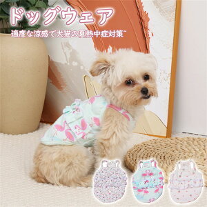 2_set hbOEFA ybg tďH~ ybg t ĕ ̕ `  i Mtg v[g alC ^^^ hbOEFA S-2XL  킢 Mtg v[