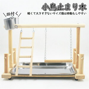  ݂艺   ~܂ ^[ CR ؐ  ߋ Mt ͂ AX`bN xe h炵 Q tȒP