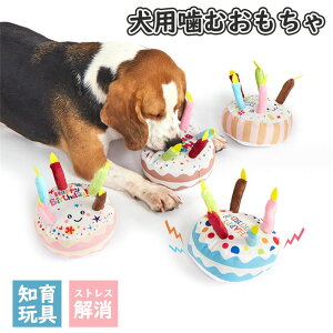 ybg  ʂ  ނ m\ߋ ŗV DS  oߋ _炩 V  S v ϋv g[jO XgX 얞 ^s