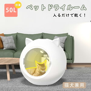 ybg @ ybg  @ {bNX ybg{bNX hC[ p ybg hCnEX  ybg@  L XbL }P[X[ É Â I[V