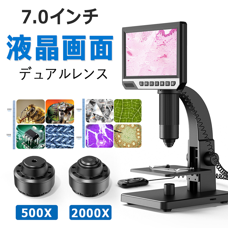 楽天市場】顕微鏡 自由研究 デジタル顕微鏡 2000倍 中級者向け 500 