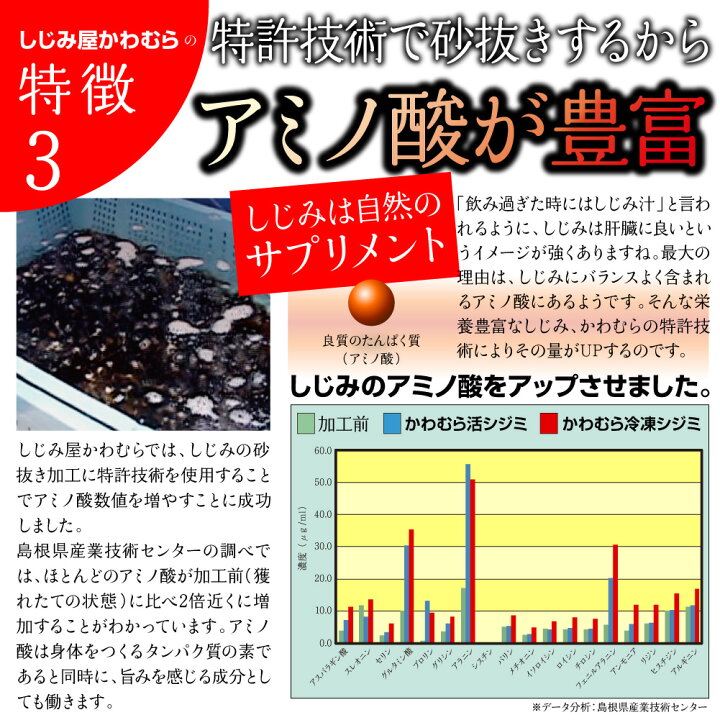 楽天市場 送料無料 宍道湖産 砂抜き済 冷凍しじみ Mサイズ3kg 1kg 3袋 3キロ 青森県 十三湖に並ぶ日本有数の漁獲量を誇る島根県 宍道湖より産地直送 国産 蜆 冷凍シジミ 大和しじみ 寒しじみ 土用しじみ 時短 しじみ汁 オルニチン 産直 お取り寄せ 父の日