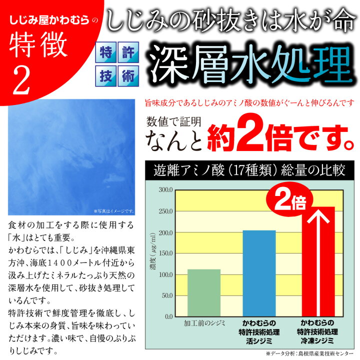 楽天市場 楽天ランキング1位 送料無料 宍道湖産 砂抜き済 冷凍しじみ Mサイズ1kg 1kg 1袋 1キロ 日本有数の漁獲量を誇る島根県 宍道湖より産地直送 国産 蜆 冷凍シジミ 大和しじみ 寒しじみ 土用しじみ 時短 しじみ汁 オルニチン 産直 お取り寄せ 父の日