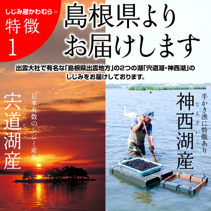 楽天市場 送料無料 宍道湖産 砂抜き済 冷凍しじみ Mサイズ3kg 1kg 3袋 3キロ 青森県 十三湖に並ぶ日本有数の漁獲量を誇る島根県 宍道湖より産地直送 国産 蜆 冷凍シジミ 大和しじみ 寒しじみ 土用しじみ 時短 しじみ汁 オルニチン 産直 お取り寄せ 父の日