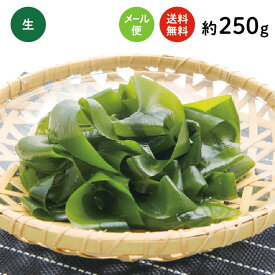 三陸産（国産） わかめ 高評価のレビューを続々！！【送料無料（メール便）】深層水の効果で生わかめ本来の風味・歯応えをしっかり味わえます!【わかめ】【ワカメ】【塩蔵わかめ】【乾燥】【国産】【生タイプ】【生わかめ】