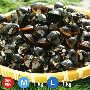  ZbgIΎY Ⓚ 2kg ρiM1kgAL1kgj2TCYI XE\O΂ɕԓ{L̋lʂւ铇E΂YnyY@儁@ⓀVW~@