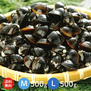  ZbgIΎY Ⓚ 1kg ρiM500gAL500gj2TCYI XE\O΂ɕԓ{L̋lʂւ铇E΂YnyY@儁@ⓀVW~@