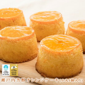 瀬戸内芳醇オレンジケーキ 小丸 6個入 【クリスマス】 楽天スーパーSALE ポイント5倍 クーポン配布中 送料別 冷蔵便 お取り寄せ まとめ買い 誕生日 記念日 お供え お祝い お歳暮 お年賀 手作り フルーツケーキ 話題のアルロース(希少糖)入り