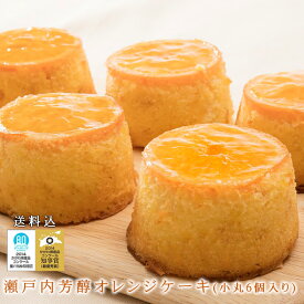 瀬戸内芳醇オレンジケーキ 小丸 6個入 【クリスマス】 楽天スーパーSALE ポイント5倍 クーポン配布中 送料込 冷蔵便 誕生日 記念日 お供え お祝い お歳暮 お年賀手作り フルーツケーキ 話題のアルロース(希少糖)入り