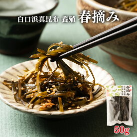 【選べる内容量】北海道産 養殖 白口浜真昆布 春摘み 1袋 50g 昆布巻き 結び昆布 煮物 酢の物 油炒め 柔らかい 調味料 海藻 海産物 養殖 ギフト 贈り物 道の駅しかべ
