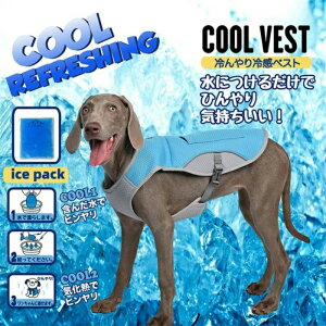 yԌ|Cg10{z ĕ ^ ^ M˕a\h q Ђ⊴xXg ybg⊴xXg ɂ邾 N[EGA ΍ N[  COOL ڐG⊴ ₽ 