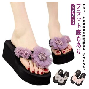 r[`T_ gO  ԕ ؂₩ fB[X T_ gOT_ EGbW\[ 3cm/6cm q[ tbg ؂ {[ l y r r  C 