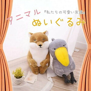 ʂ 45cm Lcl `xbgXiMclObY   u G D YQ Q 炩 NX}X o^C q̓ a jv[g \tg 킢