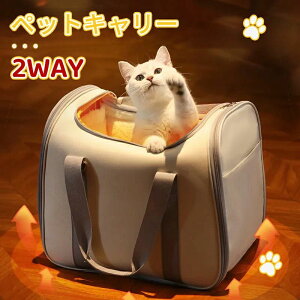 yԌ|Cg10{z2Ways ybgL[ w\ obO V_[ LobN obN L  ^ y ܂ ybgL[obO ΂߂ a@ hCu   ybg