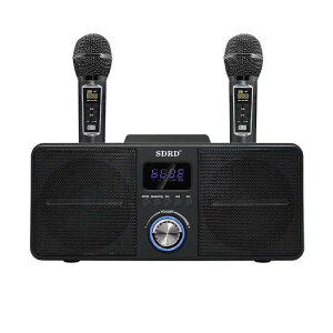 yԌ|Cg10{zJIP}CN JIP}V Bluetooth ̂ CX}CN erڑ 2nhwh}CNAUX TFJ[h UfBXN |[^uXs[J[ JIP@ JI