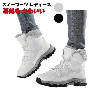 Xm[u[c fB[X 傫TCY kC h h Xm[V[Y  Ȃ hC ~C AEghA  y ʊw C 4e N 킢 oR g EB^[u[c 