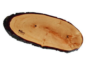 yzBOSKA ({XJ) L `[Y{[h A_[؊ 365665y`[YACDɂ߁II_̃Lb`c[uhz