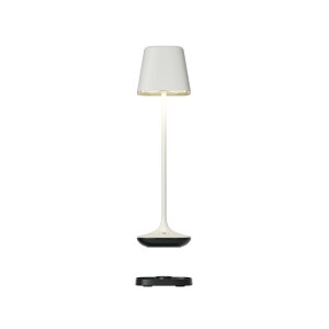 �y�����zLeonardo (���I�i���h) CAPRI / �J�v�� RGB �e�[�u�������v �[�d�� LED �R�[�h���X���C�g