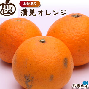 [わけあり]清見オレンジ3kg　　　　　　　　 【KS】【訳あり】【送料無料】【きよみ】