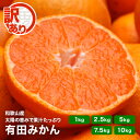 【完熟発送中！】 訳あり 有田 みかん 和歌山産 1kg〜10kg 送料無料 家庭用 温州みかん 産地直送