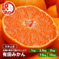 【予約】 訳あり 有田 みかん 和歌山産 1kg ～ 10kg 送料無料 極早生 9月末以降/ 完熟 11月以降 出荷予定…