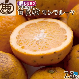 [超わけあり] 甘夏柑 7.5kg 【 送料無料 KS ロットA 訳あり お得 甘夏 あまなつ サンフルーツ 産地直送 和歌山 みかん 柑橘 】