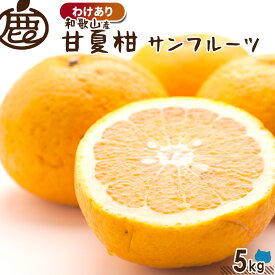 [わけあり] 甘夏柑 5kg 【 送料無料 KS 訳あり お得 甘夏 あまなつ 甘夏みかん 夏みかん サンフルーツ 産地直送 和歌山 柑橘 】