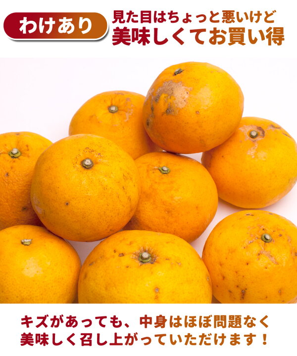 楽天市場】訳あり 甘夏みかん 【 1kg 2.5kg 5kg 7.5kg 10kg 送料無料  