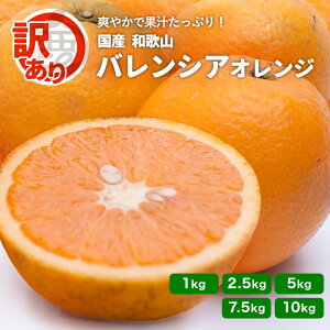 �󂠂� �o�����V�A�I�����W 1kg�`10kg �������� �a�̎R���Y ����6�����{���` ���Y�I�����W �o�����V�A ���k �t���[�c �Y�n���� �ƒ�p �W���[�X