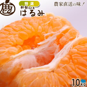 y\z I ͂ a̎R 2026N2{\ 1kg`10kg  ݂ k ʕ Yn  Mtg fR|̌Zi