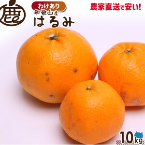 y\z 󂠂 ͂ a̎R 2026N2{\ 1kg`10kg  ݂ k ʕ ƒp Yn fR|̌Zi