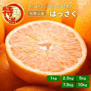 y\z I ͂ a̎R 1kg 2.5kg 5kg 7.5kg 10kg 2026N1{\ Y   Mtg Yn 4`㊮n