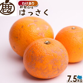 [わけあり] はっさく 7.5kg 【 送料無料 訳あり 八朔 ハッサク KS お買い得 お得 ご家庭用 国産 柑橘 和歌山 フルーツ みかん ミカン 果物 産地直送 】