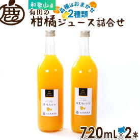 ★ジュースセール 20%OFF★ 有田の柑橘 ジュース 詰め合わせ 720ml×2本・2種類【 送料無料 無添加 国産 100% ストレートジュース 詰合せ 品種おまかせ 温州みかん 清見オレンジなど 和歌山 】