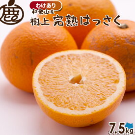 【予約】発送4月中旬以降[わけあり] 樹上 完熟はっさく 7.5kg 【 送料無料 訳あり お得 KS 八朔 木成りはっさく さつき八朔 和歌山 産地直送 】