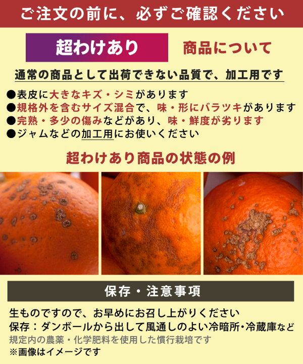 楽天市場】[超わけあり] 清見オレンジ 10kg 【 送料無料 KSロットA 訳 