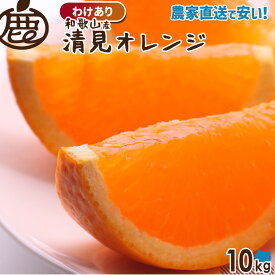 [わけあり] 清見オレンジ 10kg 【 送料無料 KS 訳あり 清見 オレンジ 清見タンゴール きよみ 和歌山 柑橘 産地直送 大容量 】